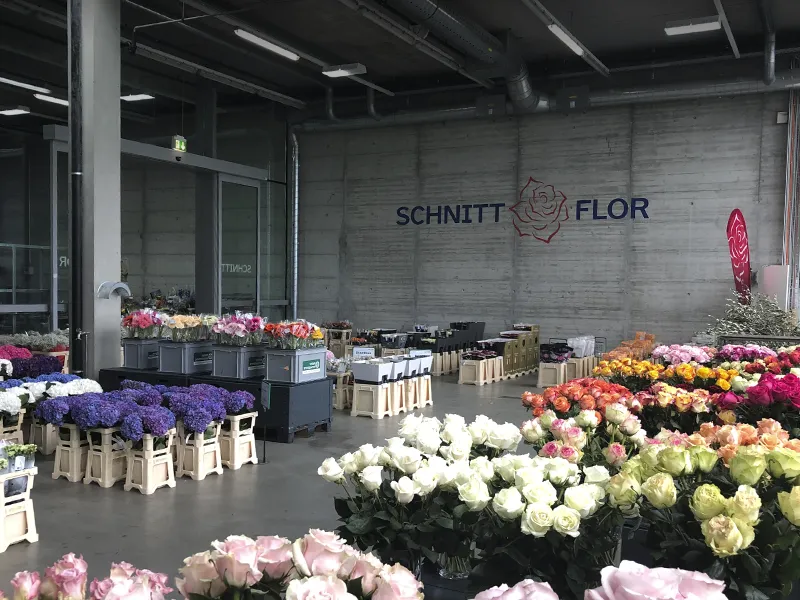Blumenbörse Schweiz