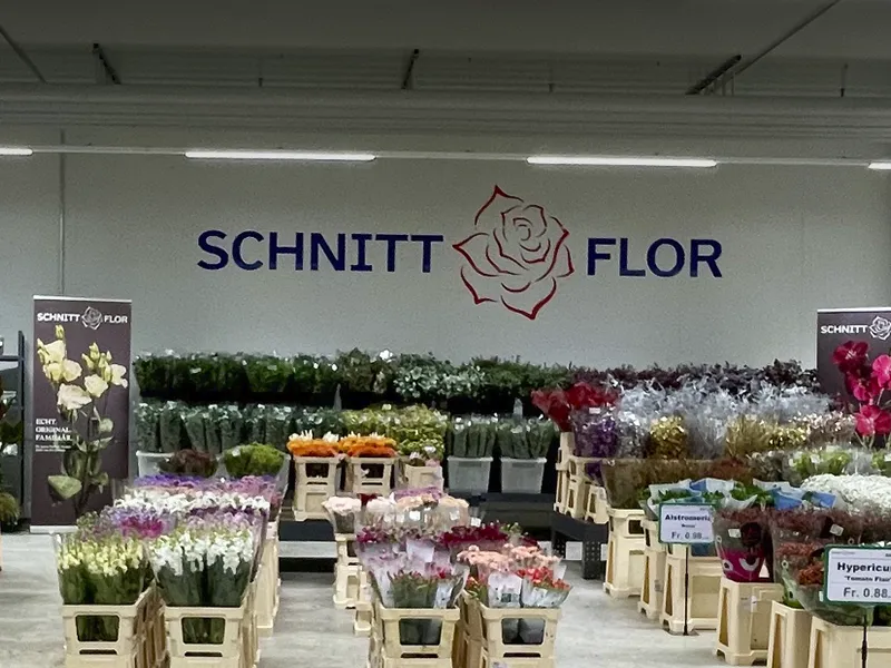 Blumenbörse West